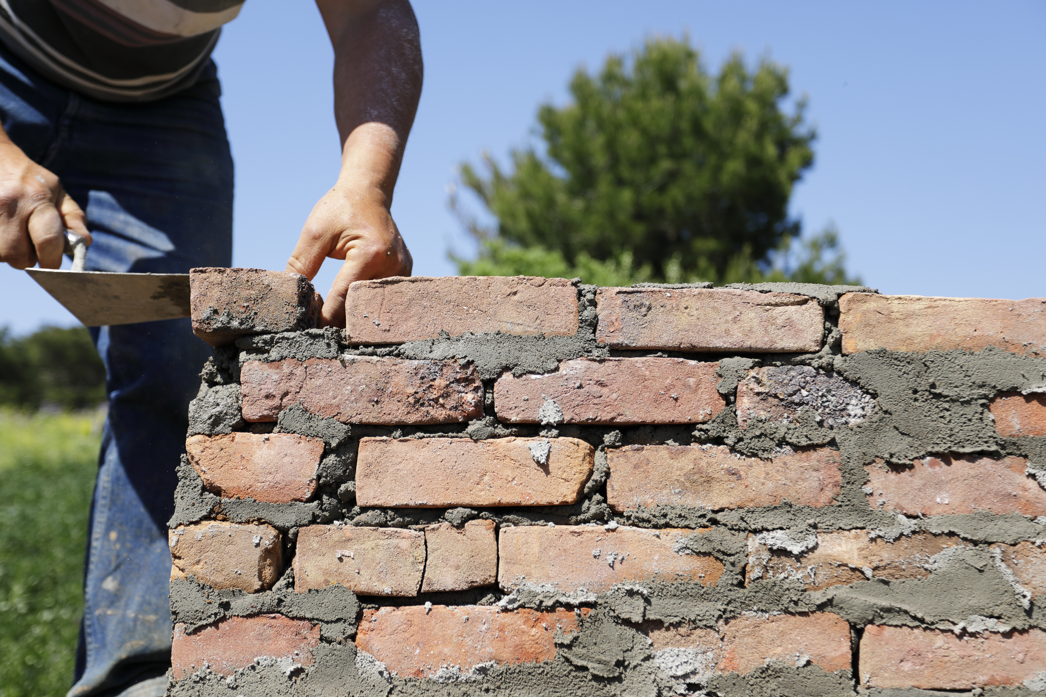 A man building a red, brick wall against backdrop of blue sky and tree.